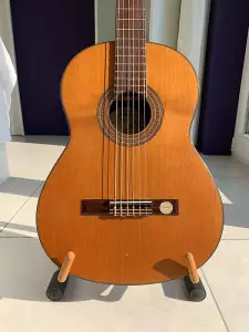 ویژگی و مشخصات گیتار کلاسیک کارل هافنر HC504